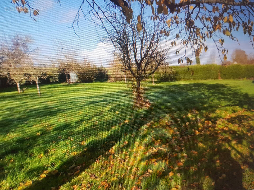 Photo Terrain à Emalleville au prix de 61 000€