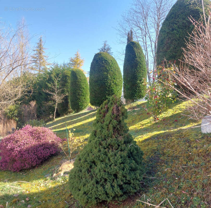 Maison à DAUMAZAN-SUR-ARIZE