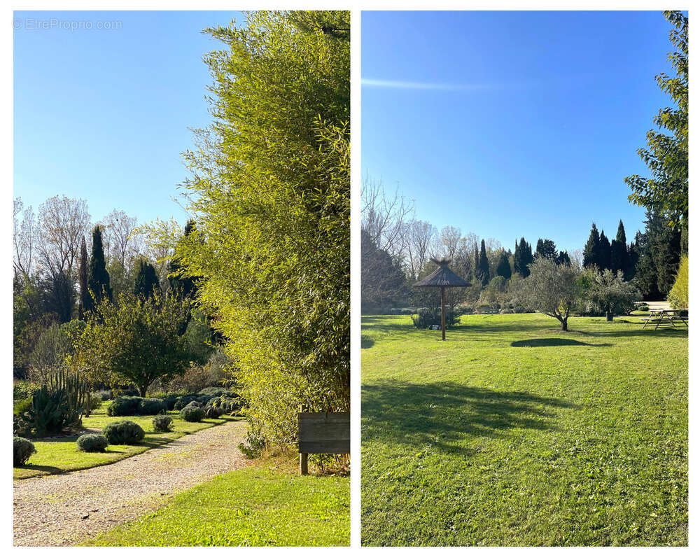 Maison à SAINT-REMY-DE-PROVENCE