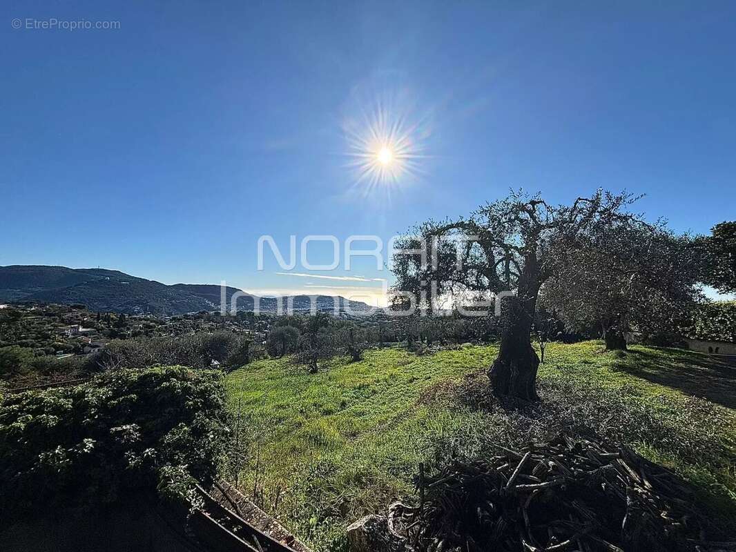 Terrain à NICE
