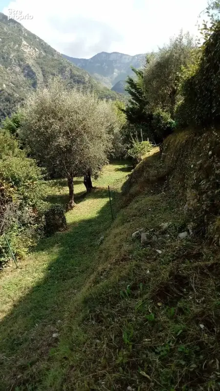 Terrain 3 974 m² à vendre à Breil-Sur-Roya (06540) - photo 8