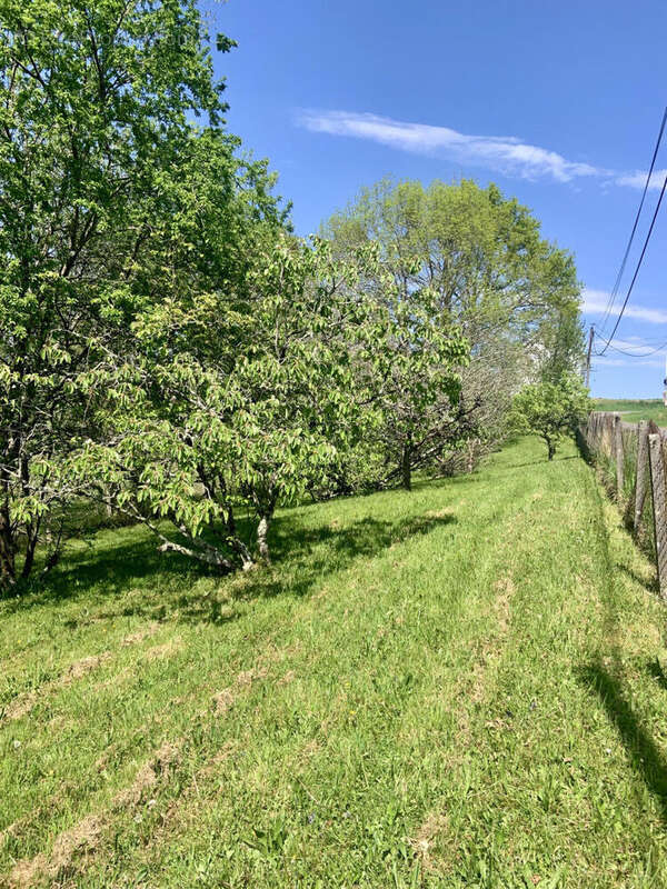 IMG_2437 - Maison à OLORON-SAINTE-MARIE