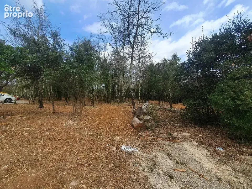 Terrain 1 338 m² à vendre à Labastide-De-Virac (07150) - photo 3