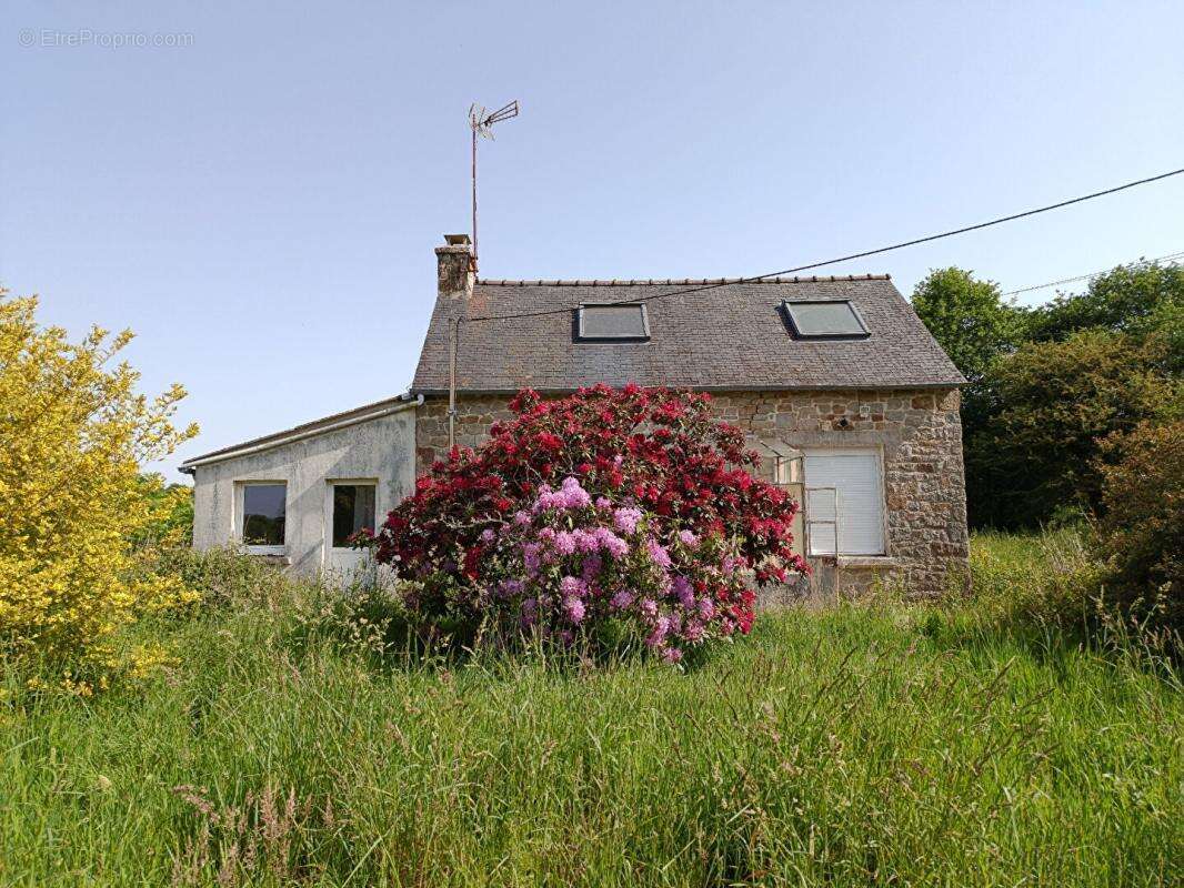 Maison 49 M2  2 chambres - photo 2