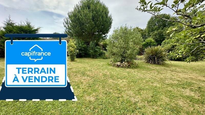 Terrain à SAINT-JEAN-D&#039;ILLAC