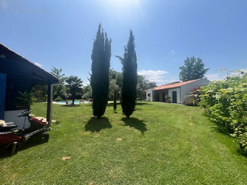 Aiguillon Maison d'architecte - photo 12