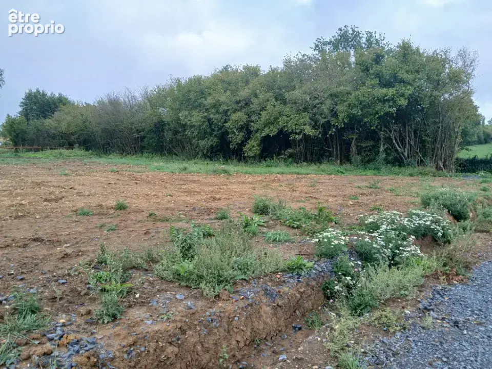 Terrain 1 200 m² à vendre à Saint-Etienne-La-Thillaye (14950) - photo 3