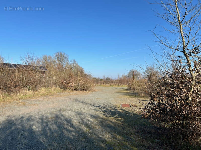 Terrain a vendre 587 m² en éco-lotissement !! - photo 3