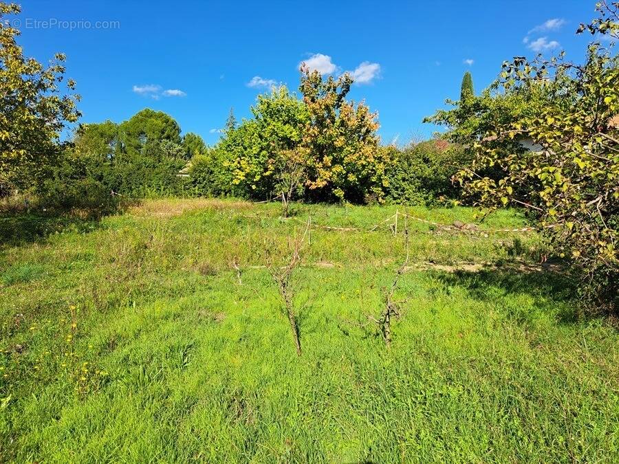 Terrain à PEYNIER