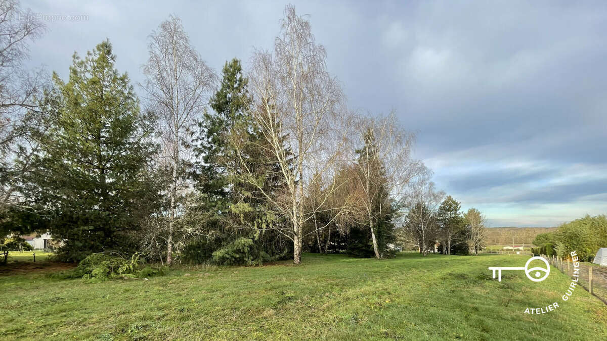 Terrain à MONTRIEUX-EN-SOLOGNE