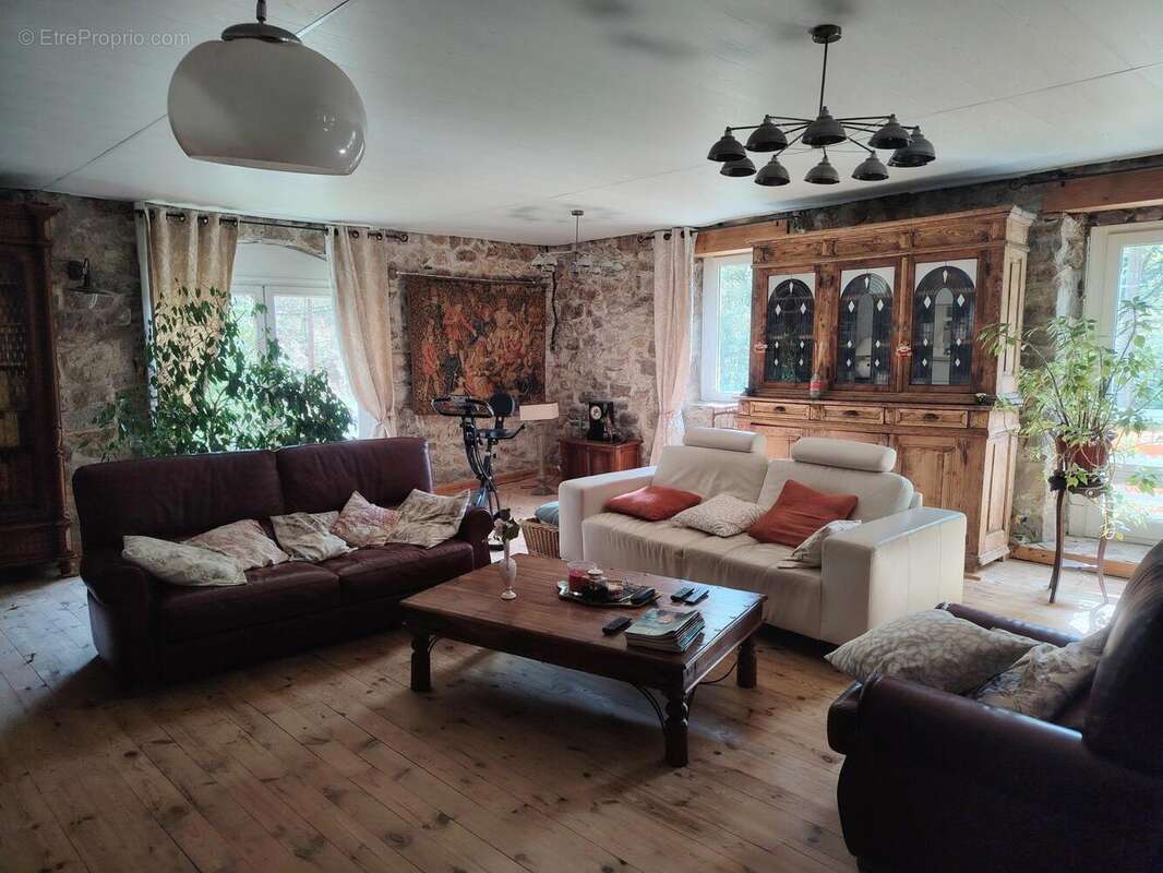 Maison 263 m² à Saint-Pierre-Sur-Doux  - photo 7