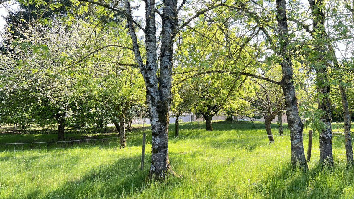 Maison à LADOIX-SERRIGNY