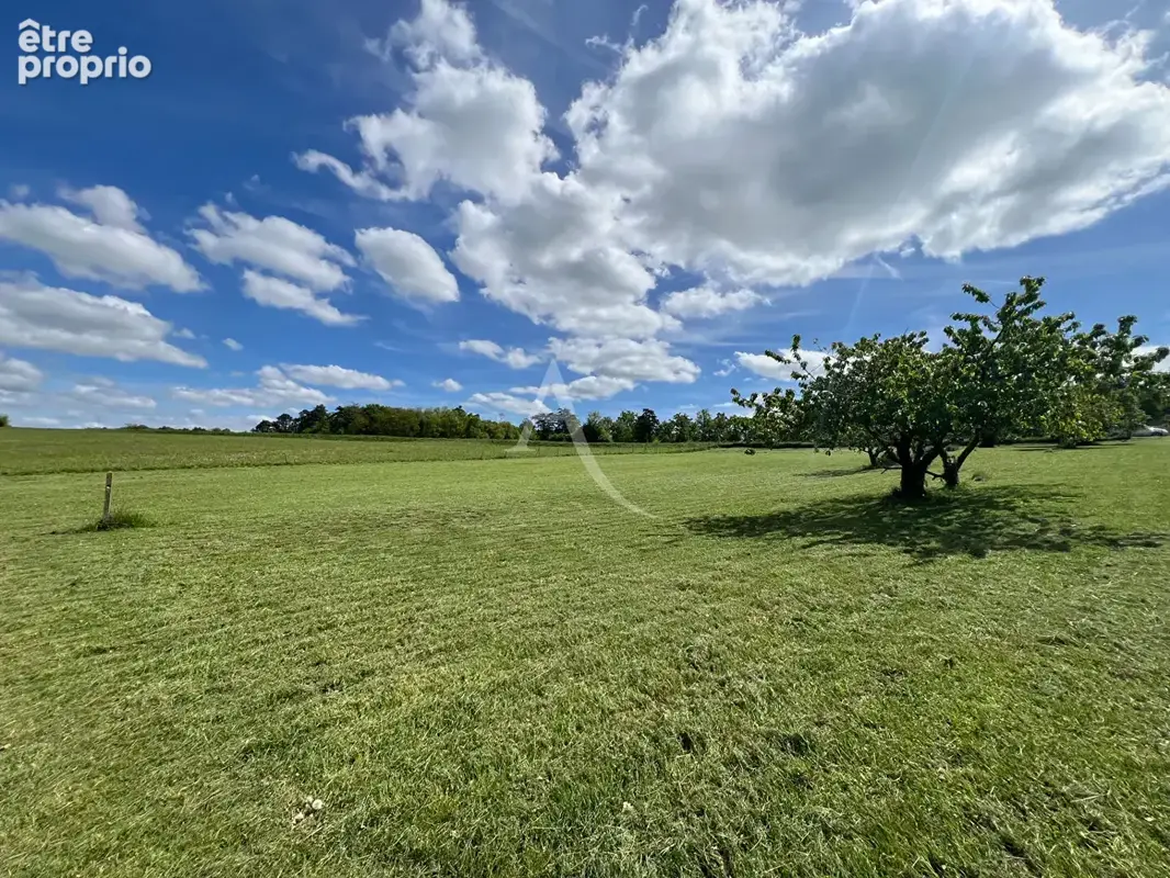 Terrain Chissay En Touraine 5320 m2 - photo 1