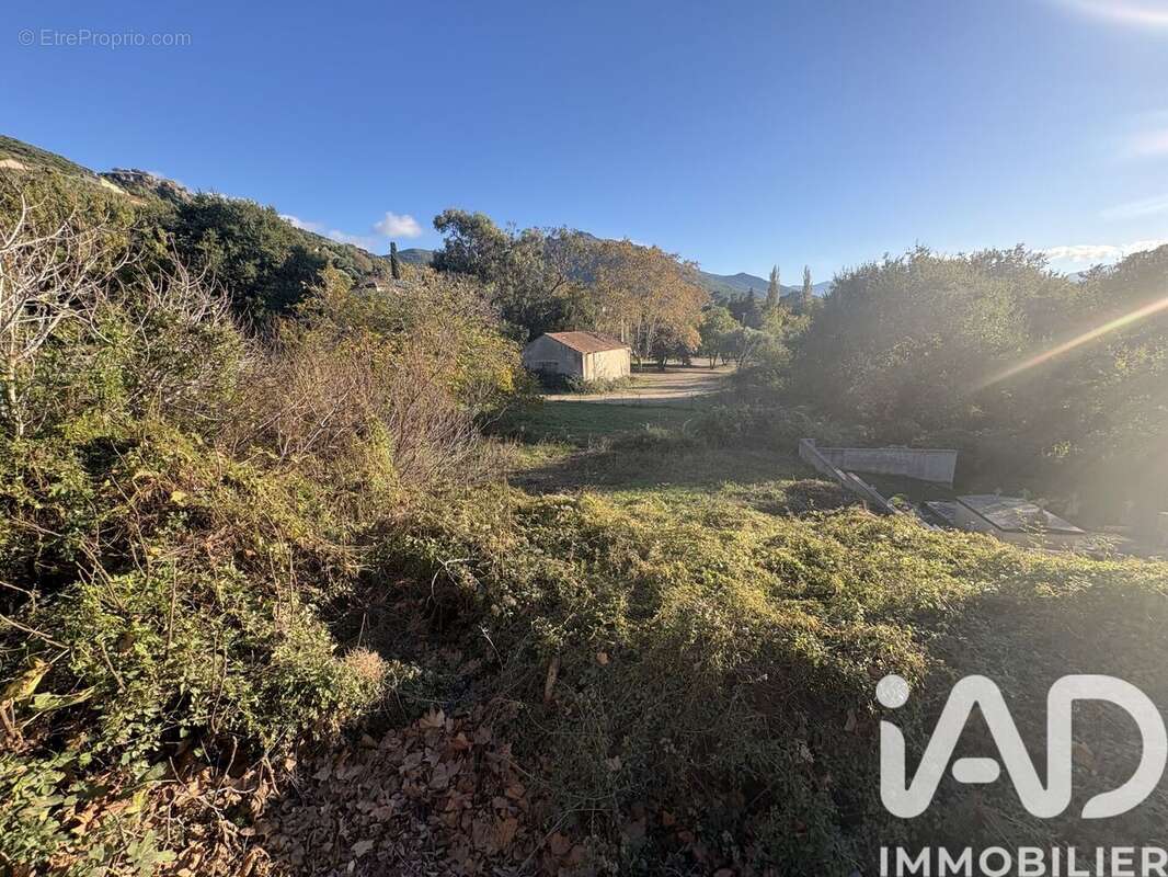 Photo 5 - Terrain à PATRIMONIO