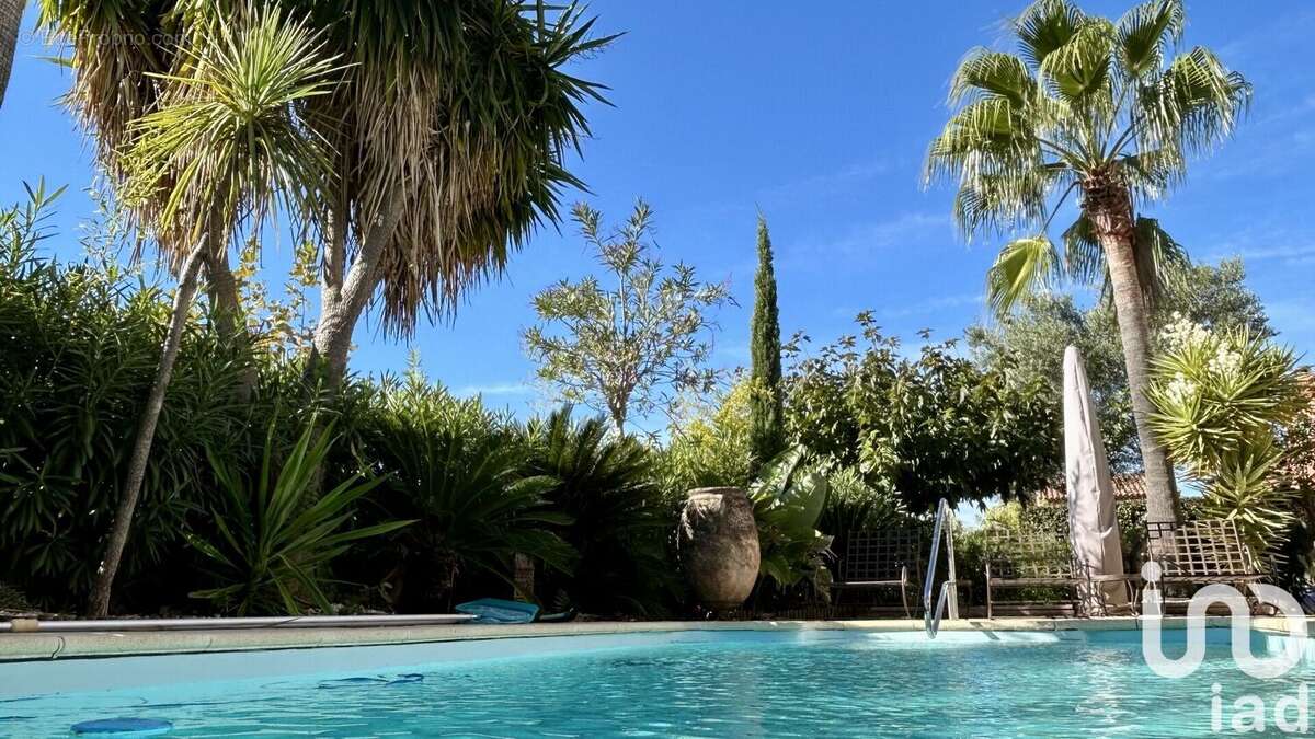 Photo 3 - Maison à LA LONDE-LES-MAURES