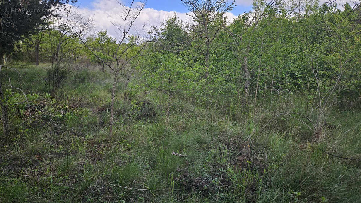 Terrain à GALARGUES