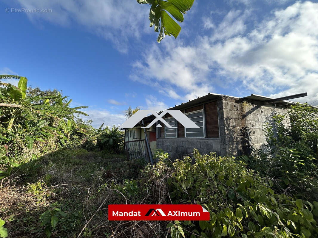 Maison à BRAS-PANON