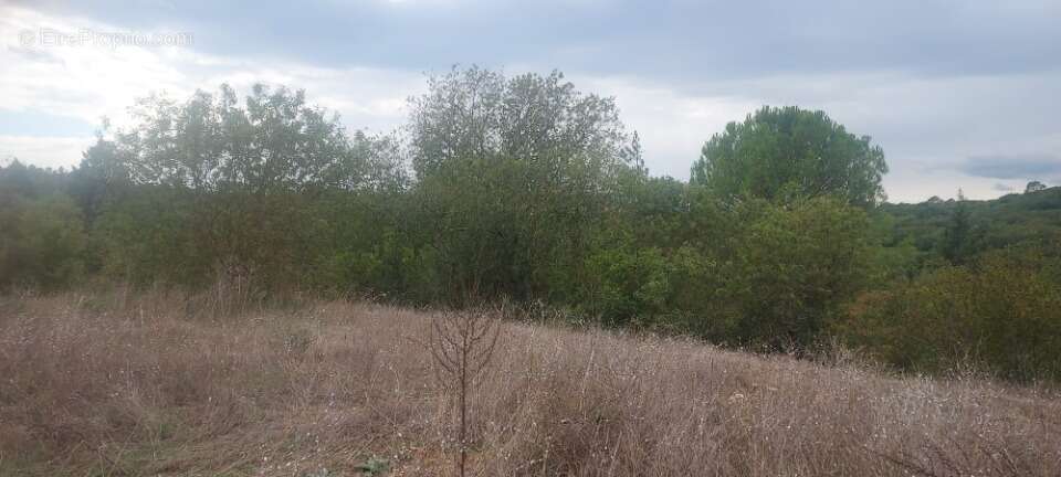 Terrain à MONTMEYAN