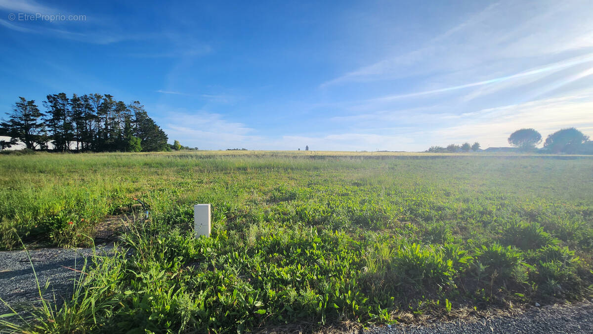 Terrain à MORNAC-SUR-SEUDRE