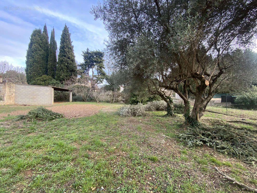 Terrain à SATURARGUES