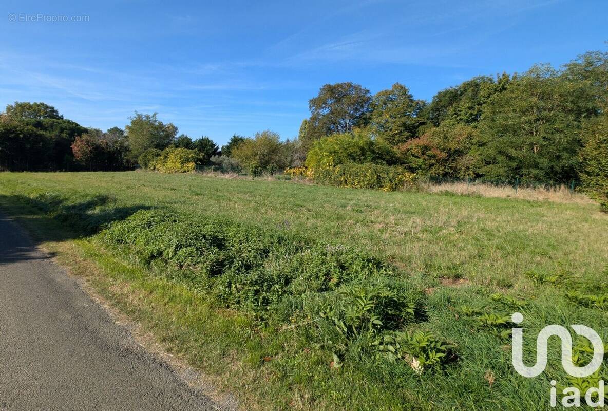 Photo 1 - Terrain à CASTILLON-LA-BATAILLE