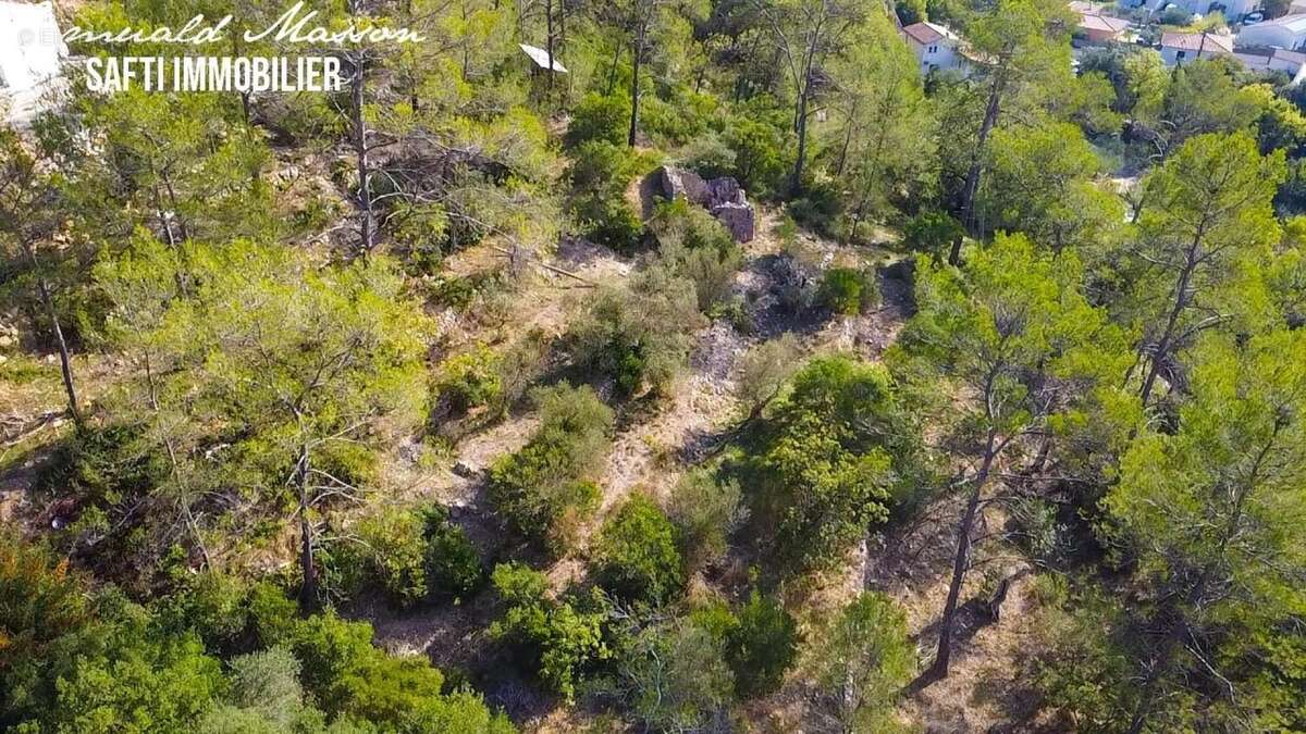 Terrain 2500 m² à Belgentier  - photo 6