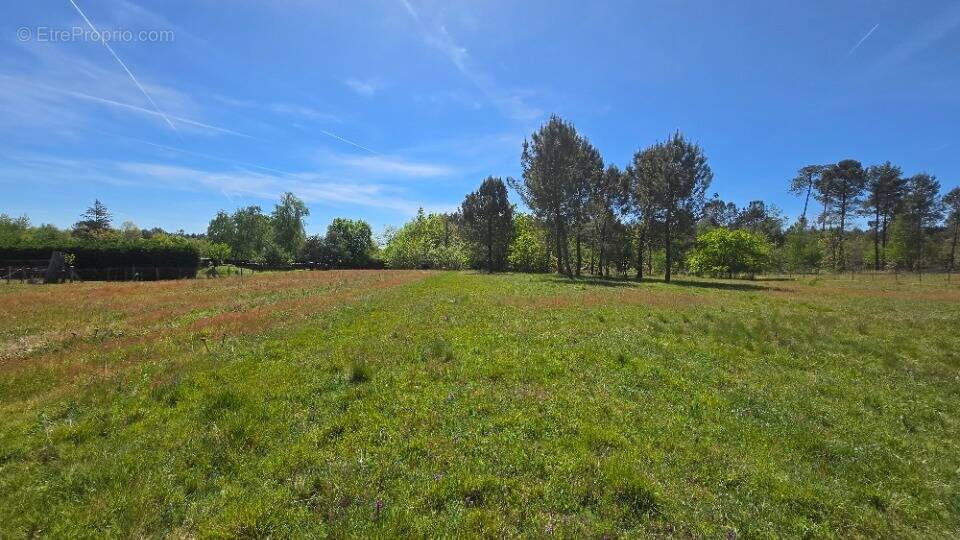 Terrain à AUBIE-ET-ESPESSAS