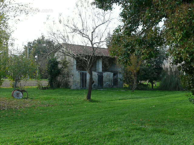 Agen nerac bel enclos maison dependances gros potentiel - photo 33