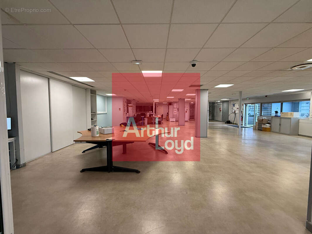 5624 m² à Samazan  - photo 3