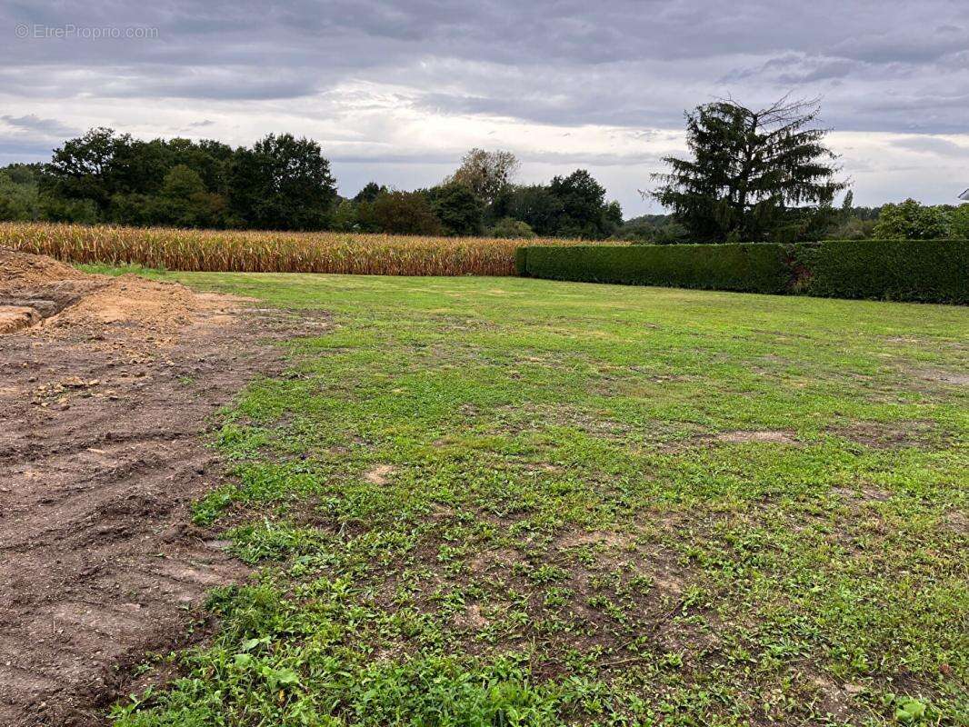 Terrain à SAINT-CHRISTOPHE-EN-BRESSE