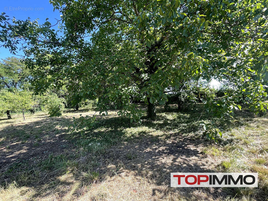 Maison à WIDENSOLEN