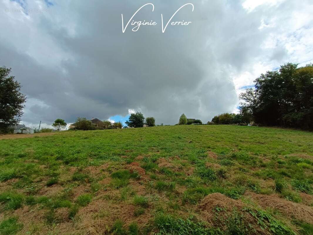 Terrain à SAINT-CYPRIEN