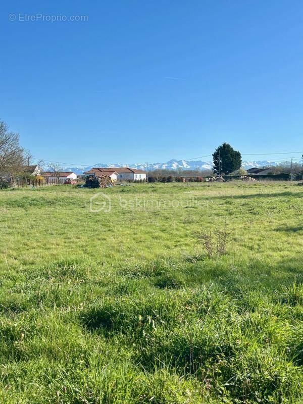 Terrain à MAUBOURGUET