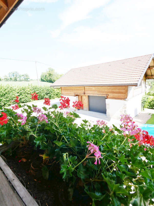 Maison à ETAUX