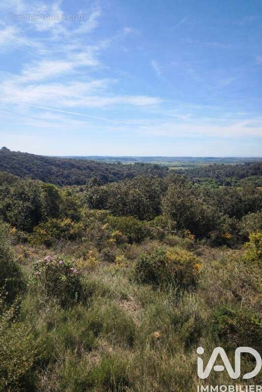 Photo 6 - Terrain à NEFFIES