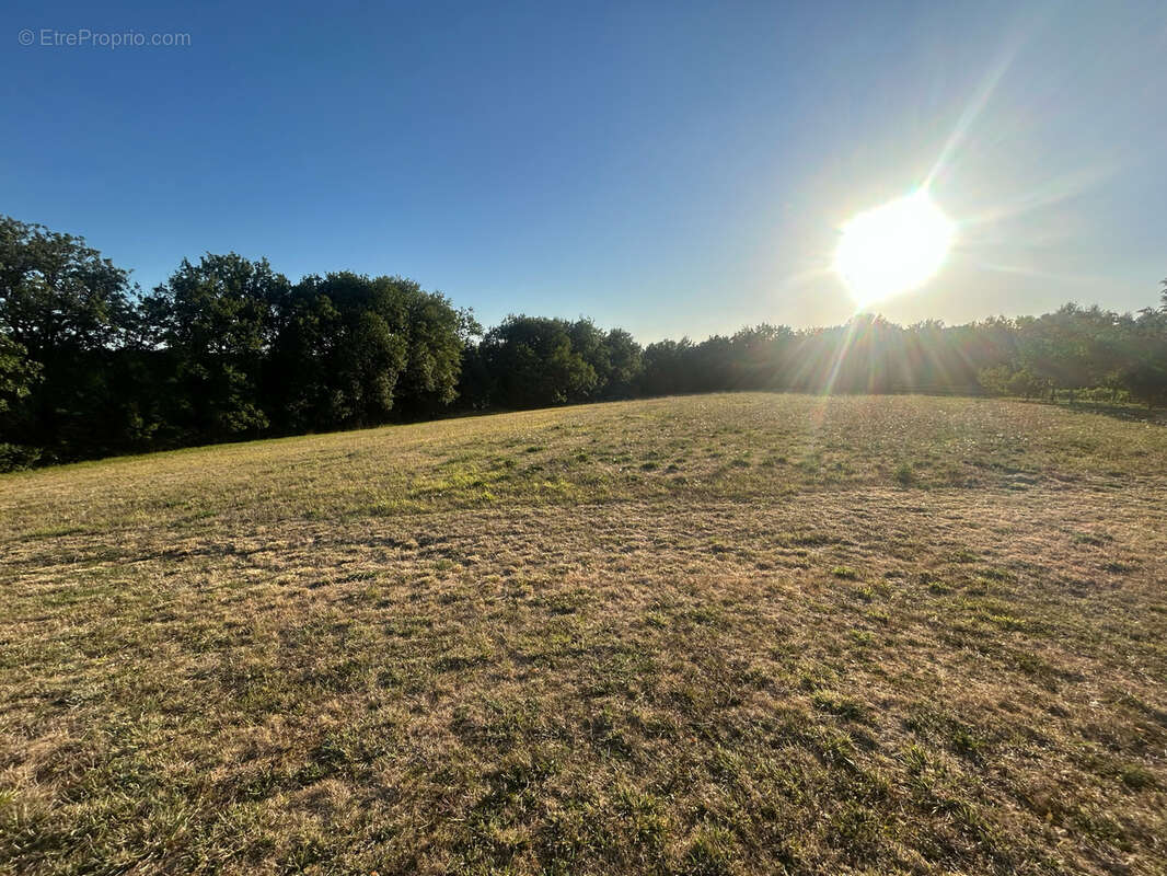 Maison récente de 2019   17000 m2 de terrain avec vignes, piscine et dépendances   à 20 min de Périgueux - photo 13