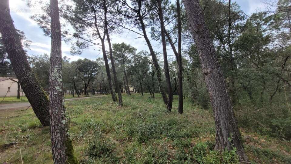 Terrain à SUZE-LA-ROUSSE