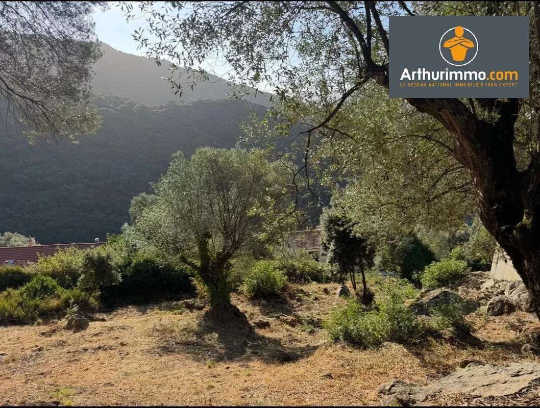 Terrain à OLMETO