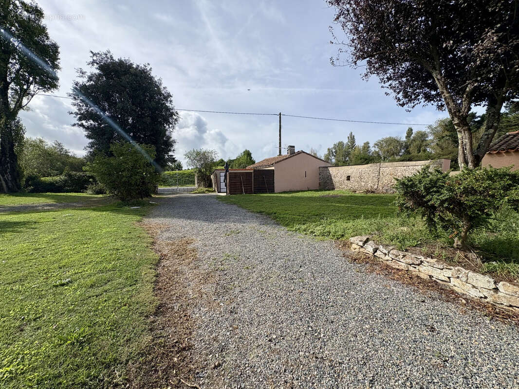 Commerce à SAINT-BREVIN-LES-PINS