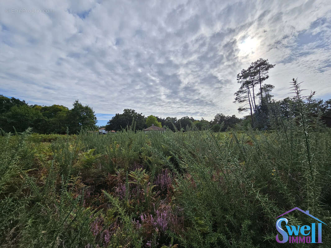 Terrain à MOLIETS-ET-MAA