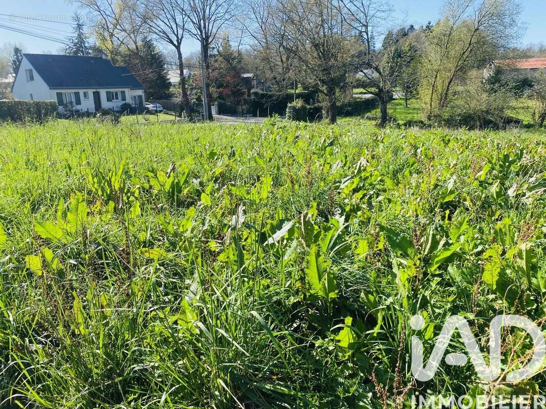 Photo 5 - Terrain à TREILLIERES