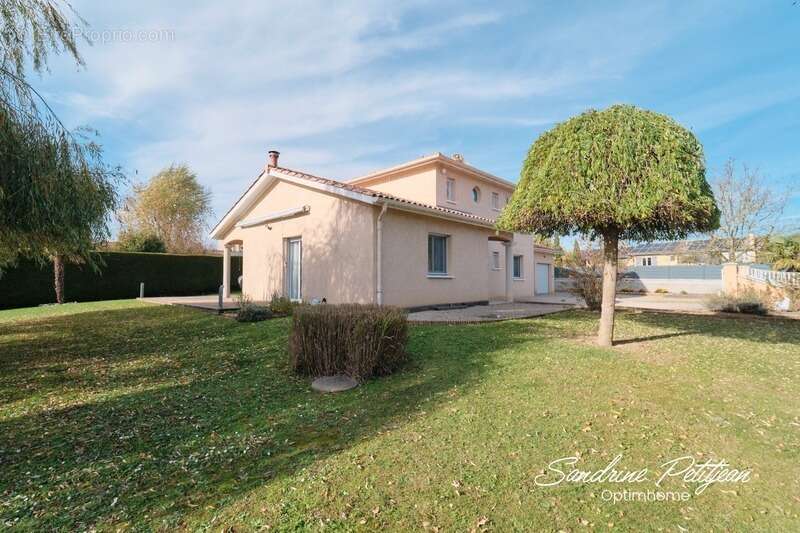 Maison à SAINTE-OLIVE