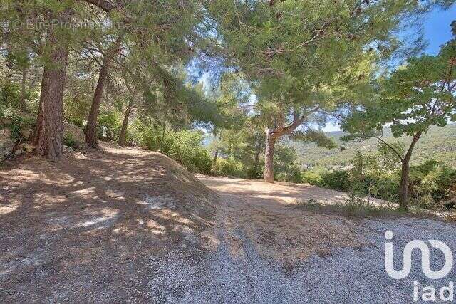 Photo 9 - Maison à CEYRESTE