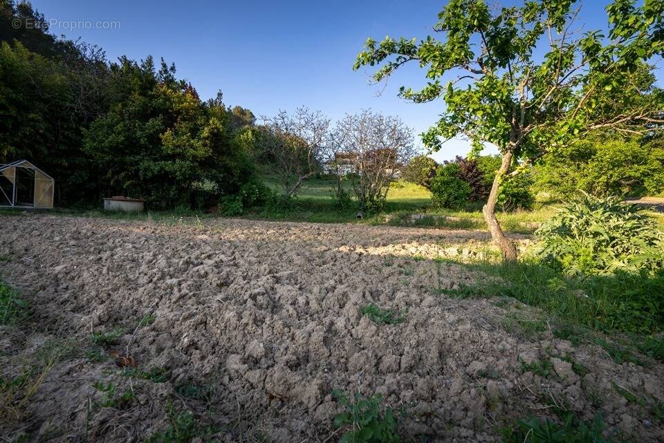 Terrain à SAINT-HILAIRE