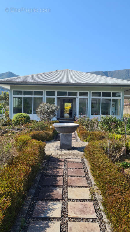 Maison à LA PLAINE-DES-PALMISTES