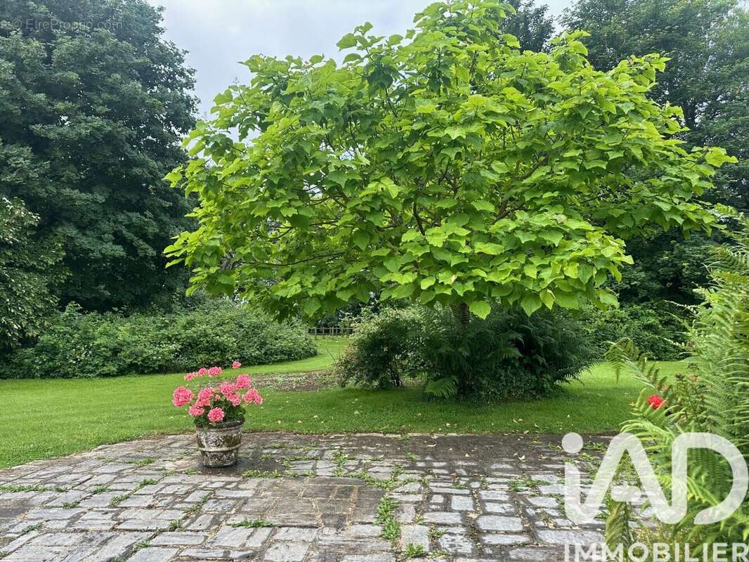Maison 243 m² à Saint-Martin-Du-Manoir  - photo 4
