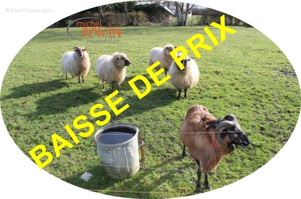 Maison à GERMIGNY-L'EXEMPT