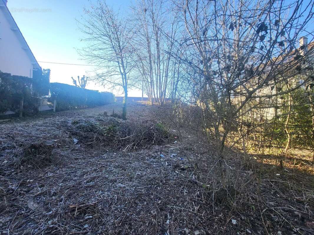 Terrain à CHALETTE-SUR-LOING