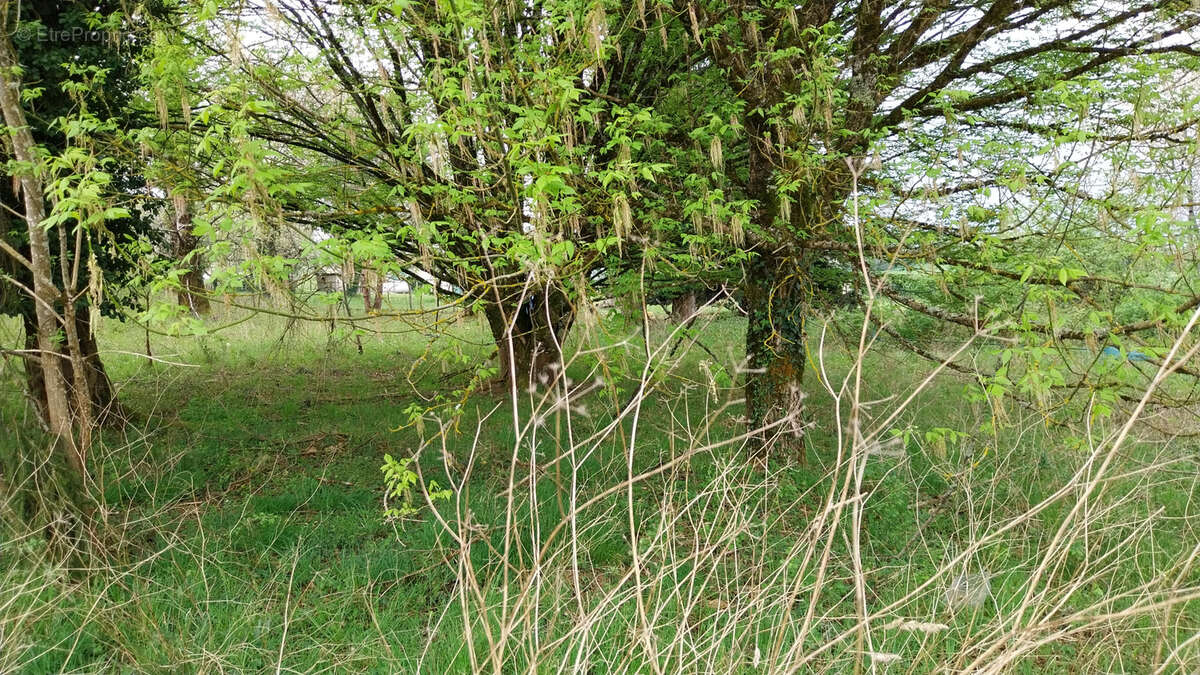 Maison à SAINT-PIERRE-DE-COLE