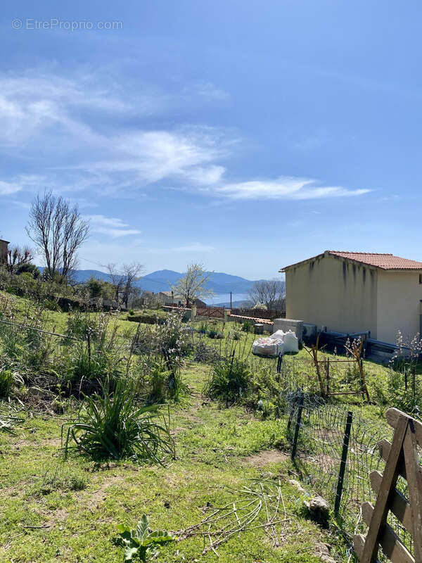 Terrain à PROPRIANO